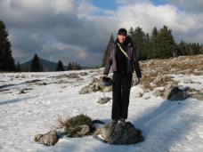 Klik za večjo sliko